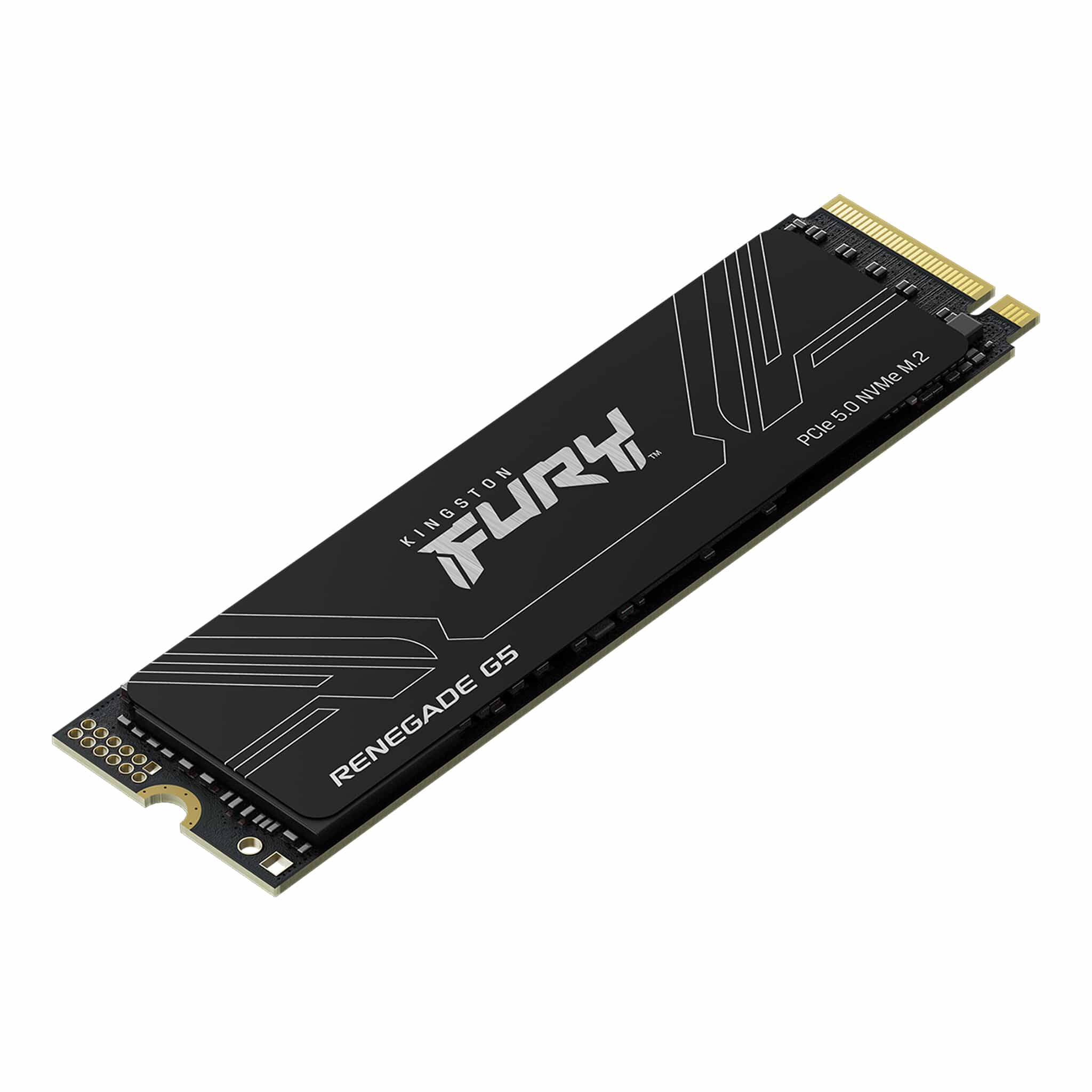 Kingston Fury Renegade G5 NVMe SSD 4096GB Kingston Fury Renegade G5 NVMe SSD 4096GB
